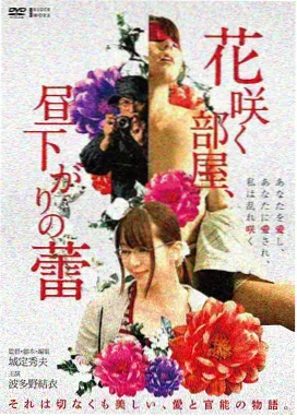 卫宫士郎主线篇章封面图
